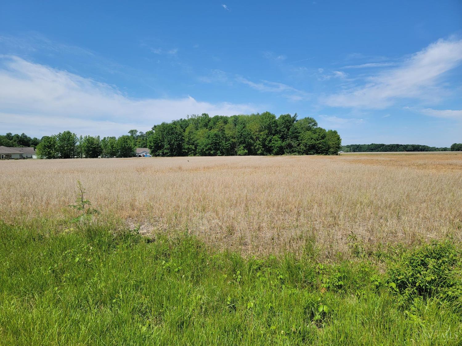 0 State Rte 101 Milan, IN 47031 - Photo 8 of 11