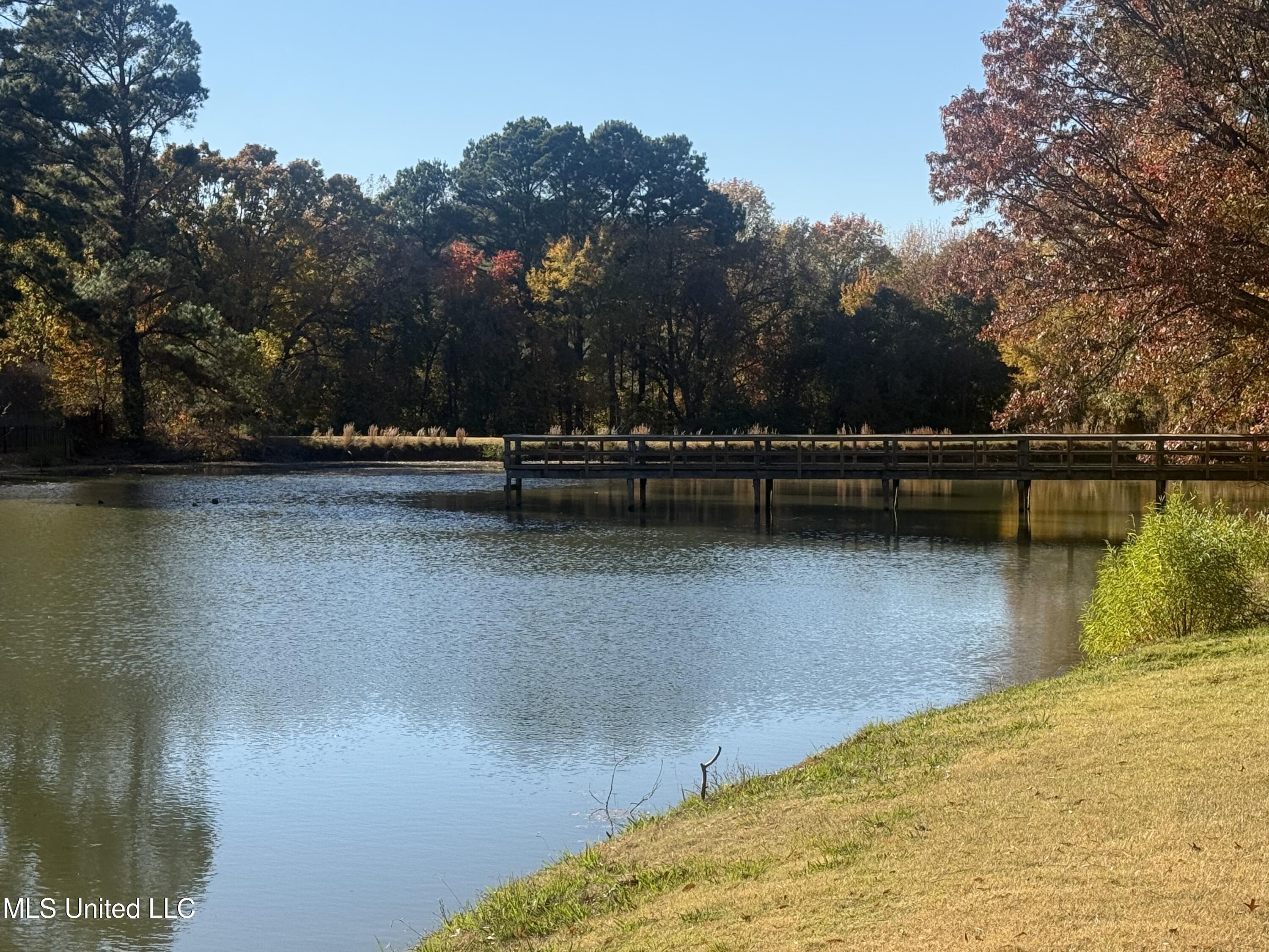 758 Rutland Drive Southaven, MS 38671 - Photo 22 of 23 IMG_6026