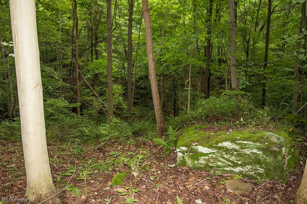 5854 Dog Run Road Mineral City, OH 44656 - Photo 11 of 24