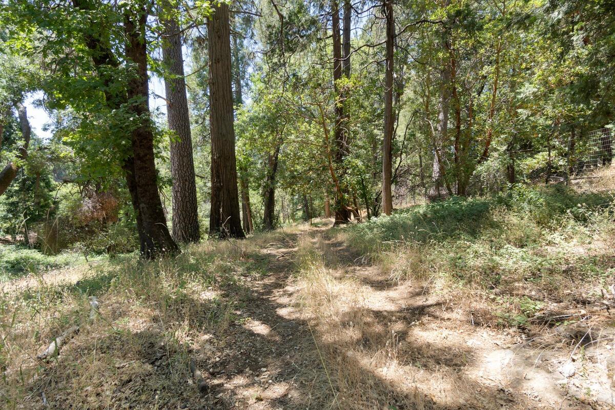 2360 Union Ridge Road Placerville, CA 95667 - Photo 45 of 48