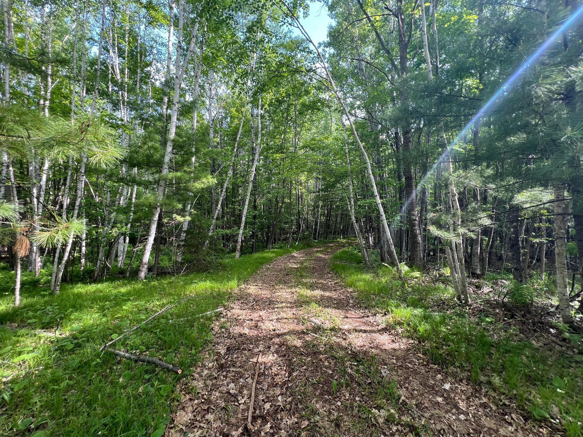 7151 County Rd A Solon Springs, WI 54873 - Photo 23 of 25