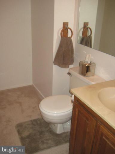 2456 Ridgehampton Court Reston, VA 20191 - Photo 14 of 15 Bath #3