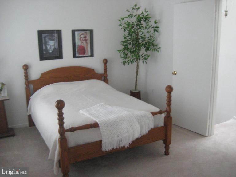2456 Ridgehampton Court Reston, VA 20191 - Photo 8 of 15 Master Bedroom