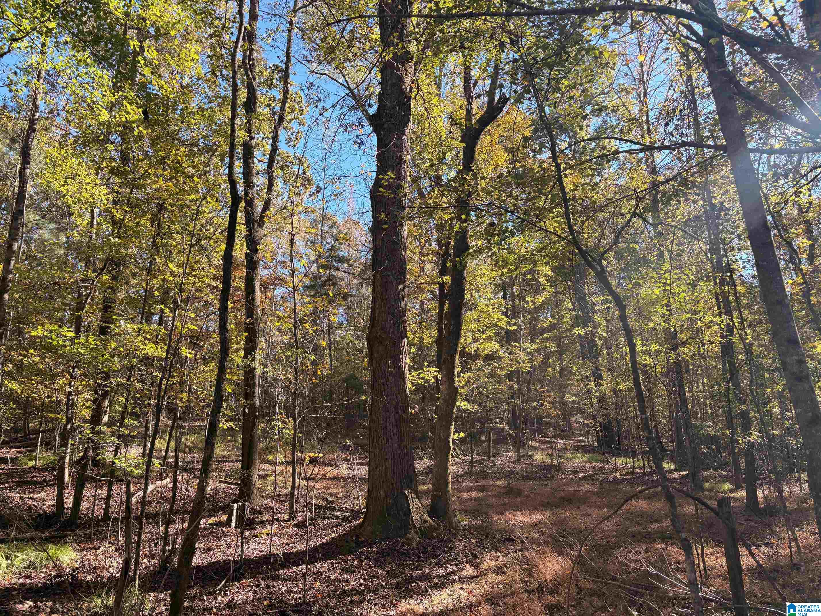 4540 Cabin Road, Unit 4 AND 6 Bessemer, AL 35022 - Photo 9 of 13