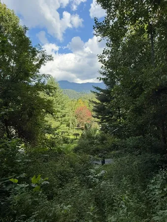 $27,500 | Lot 2 Varsity Drive, Sylva, NC 28779