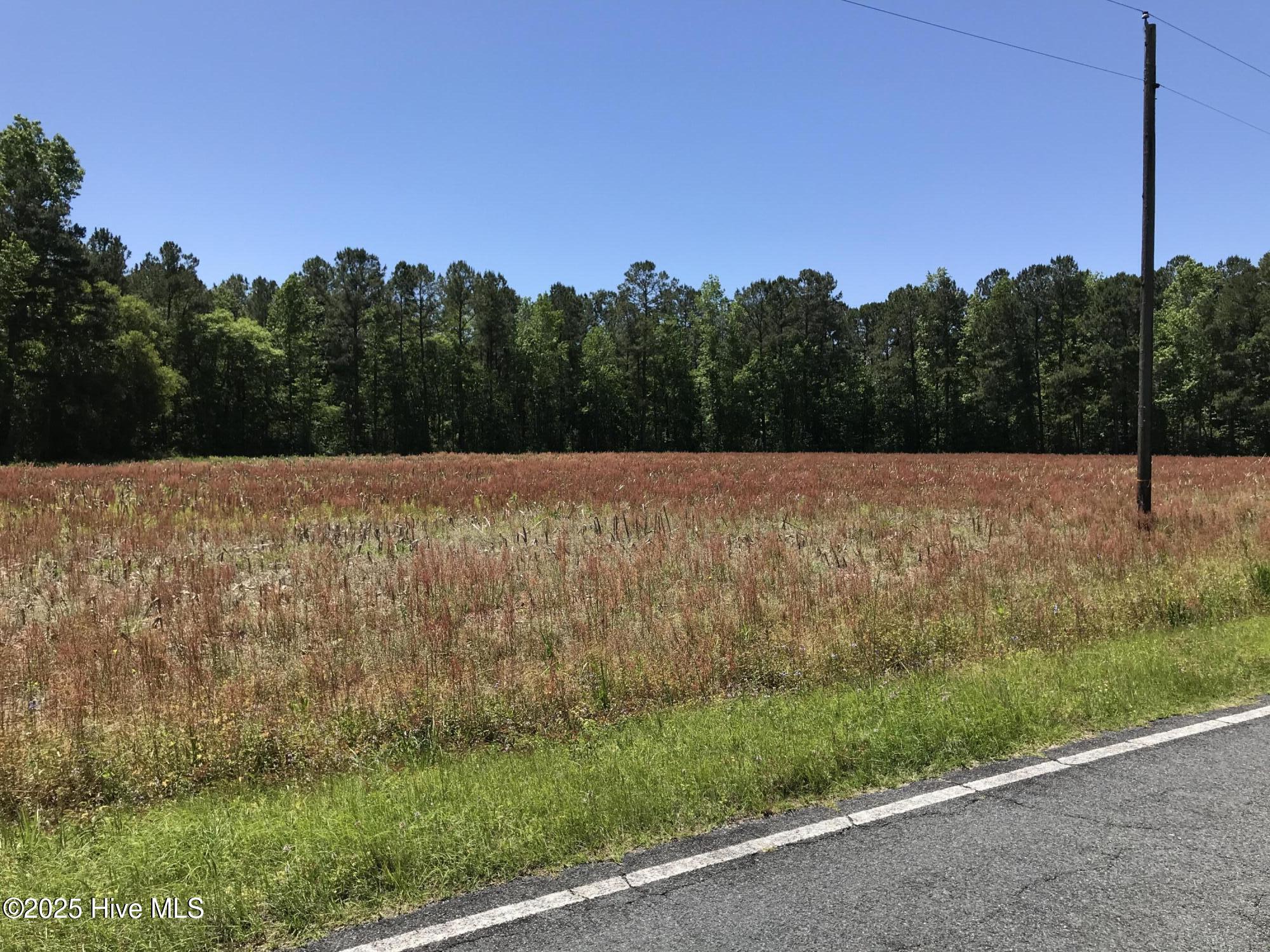 5530 Little Prong Road Northwest Ash, NC 28420 - Photo 2 of 4 ERS Investments Lot 10-Pic 2