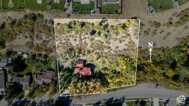 725 Canyon Road Smithfield, UT 84335 - Photo 14 of 100 Extensive property lot with established residence, surrounded by mature trees and natural vegetation