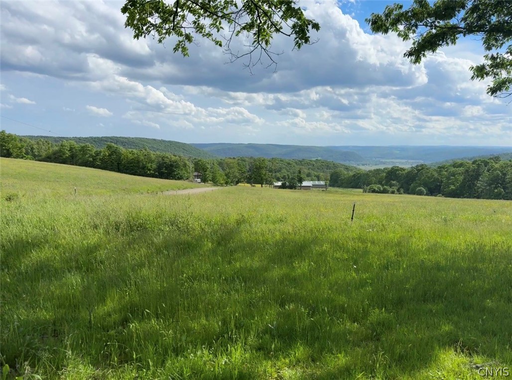 7043 Hutches Road Bath, NY 14810 - Photo 3 of 32 Stunning views from the front yard