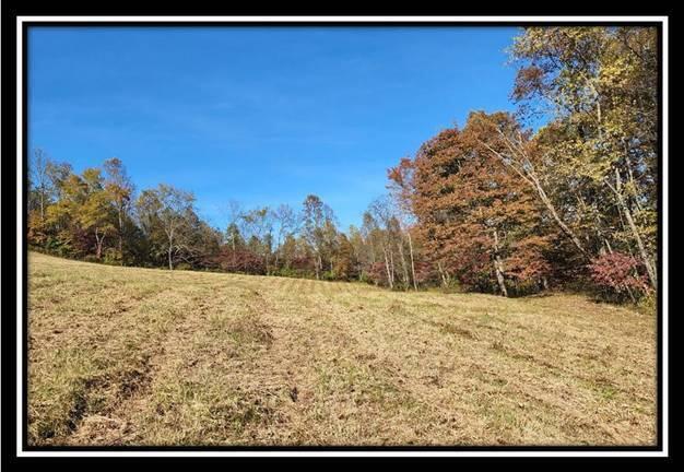 0 Maysville-Williams Road, Unit TRACT 1) Logan, OH 43138 - Photo 23 of 47 image023
