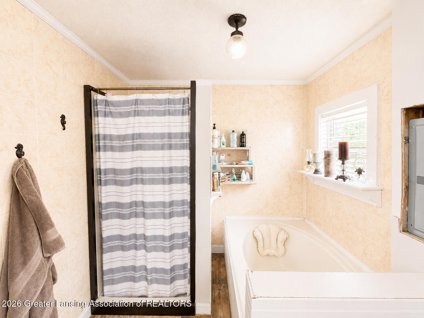 22900 Brady Road Bannister, MI 48807 - Photo 15 of 19 E6357EDF-E70D-465E-9C45-F5D5F414B443