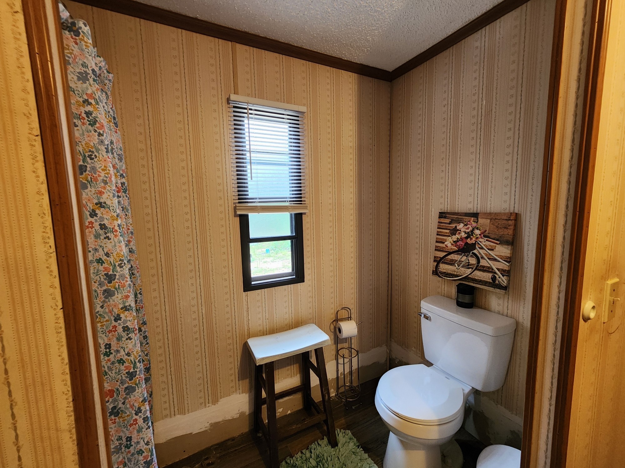 1135 Seiber Ridge Road Hohenwald, TN 38462 - Photo 6 of 18