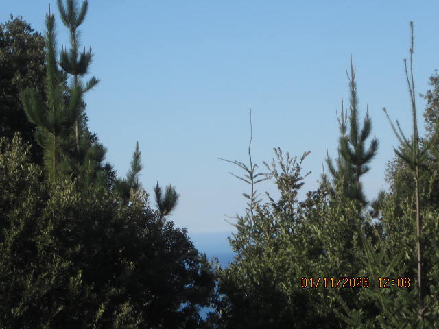 2715 Toth Road Shelter Cove, CA 95589 - Photo 4 of 27 IMG_0748