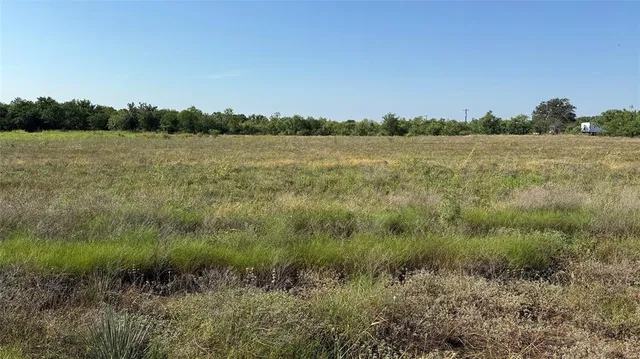 a view of a field with trees in background