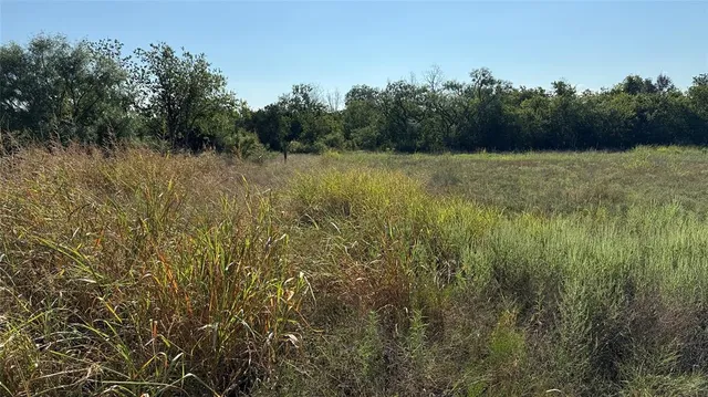 a view of a lake with a garden