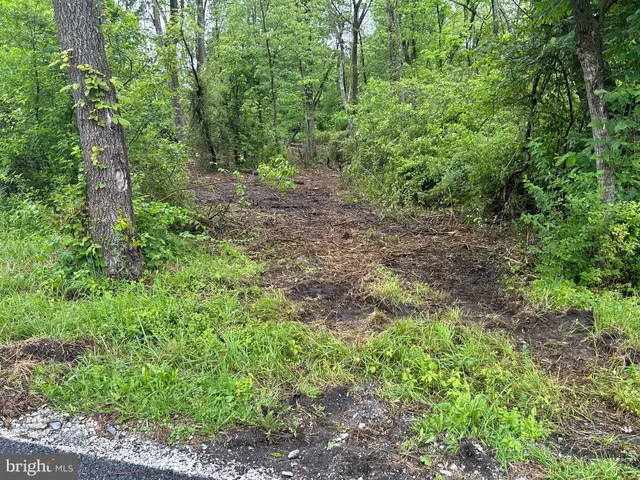a view of a large yard with lots of green space