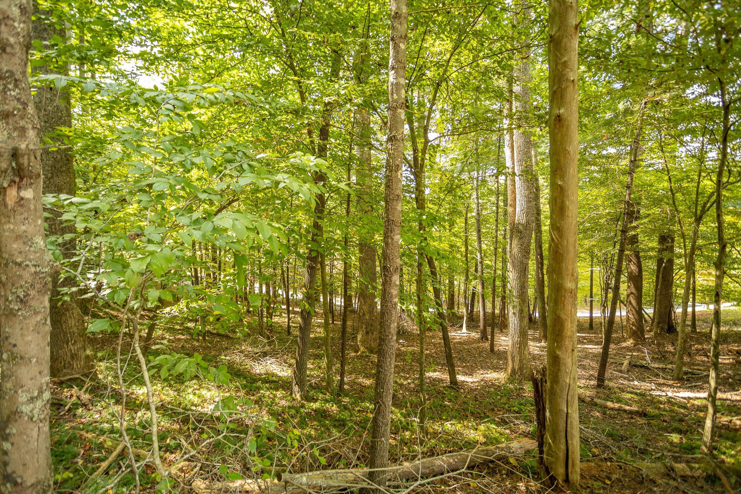 0 Willow Branch Road Boones Mill, VA 24065 - Photo 14 of 25 a bathroom with a shower
