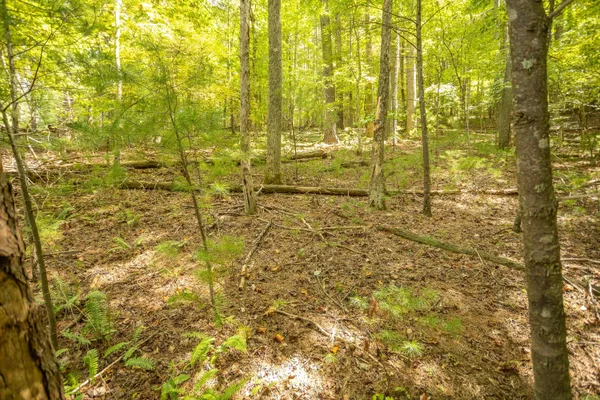 a bathroom with a window