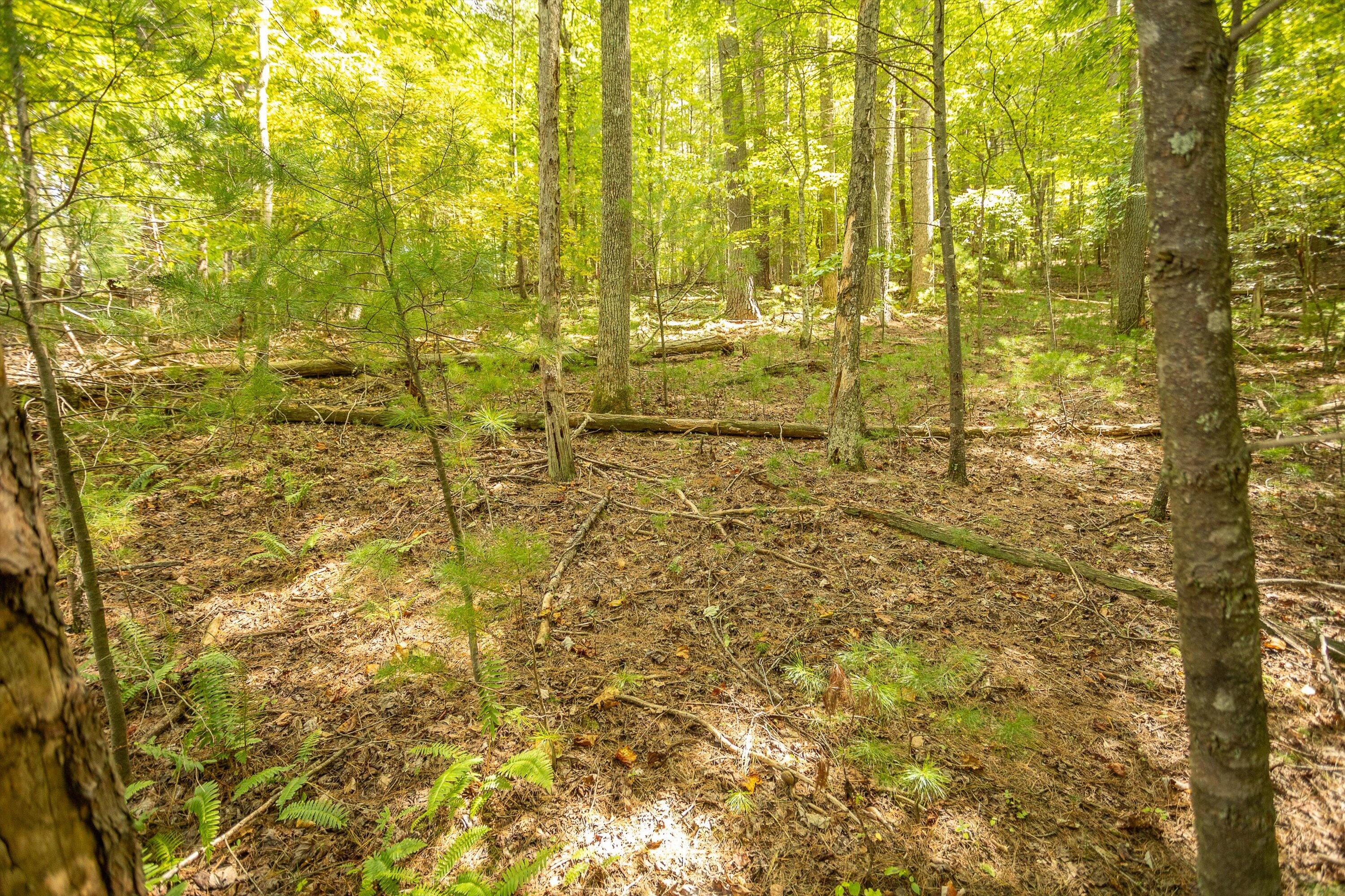 0 Willow Branch Road Boones Mill, VA 24065 - Photo 15 of 25 a bathroom with a shower