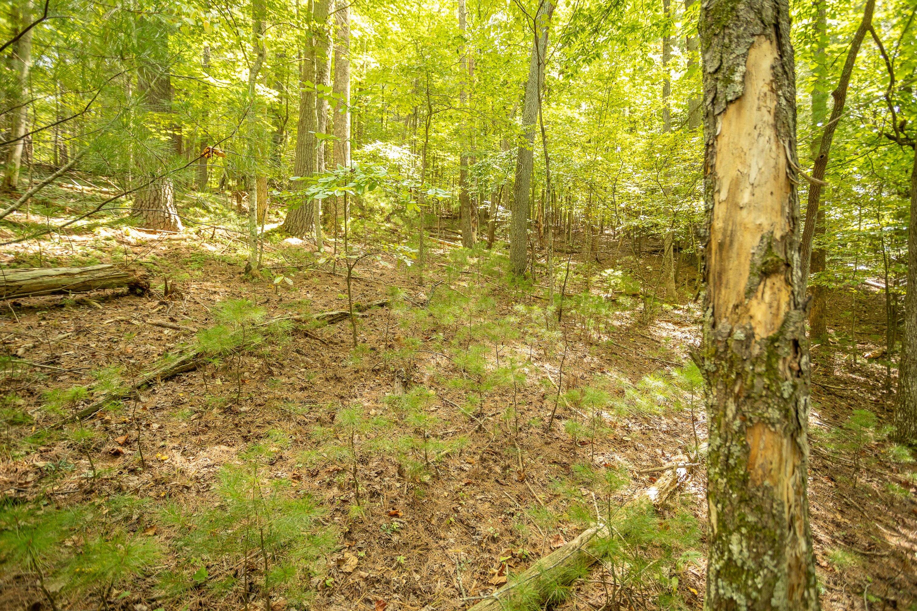 0 Willow Branch Road Boones Mill, VA 24065 - Photo 16 of 25 a bathroom with a window