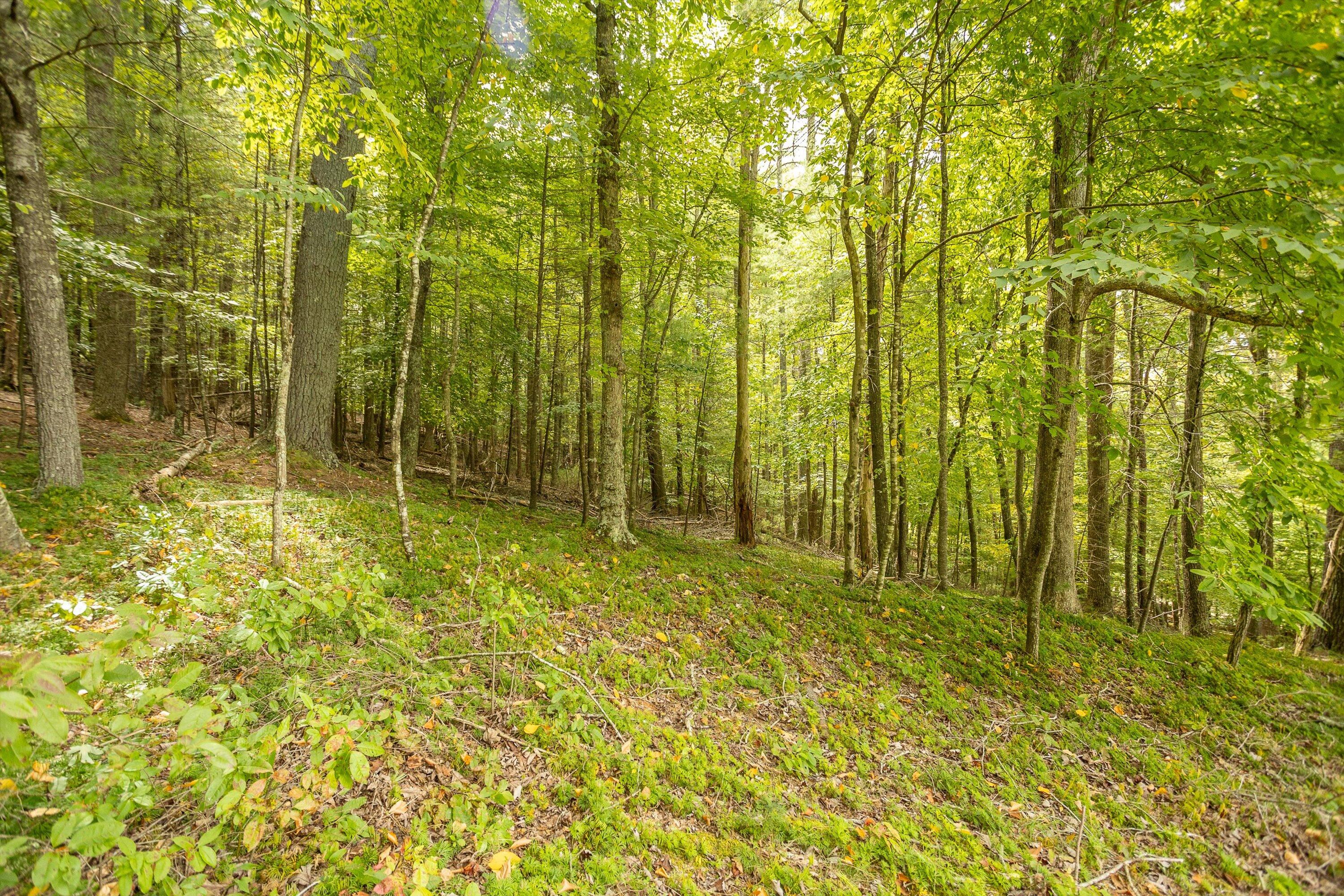 0 Willow Branch Road Boones Mill, VA 24065 - Photo 18 of 25