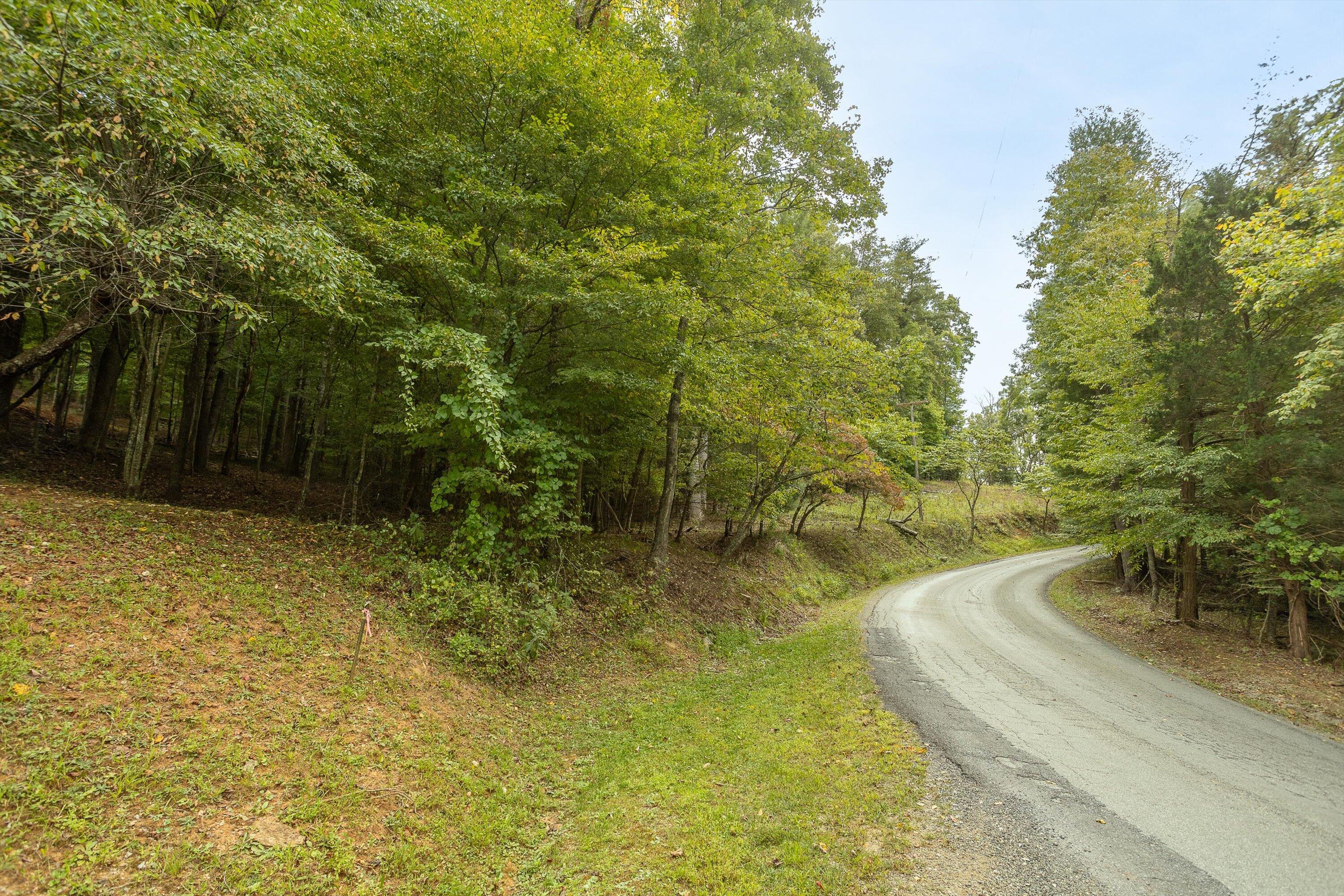 0 Willow Branch Road Boones Mill, VA 24065 - Photo 19 of 25 a view of a yard with plants