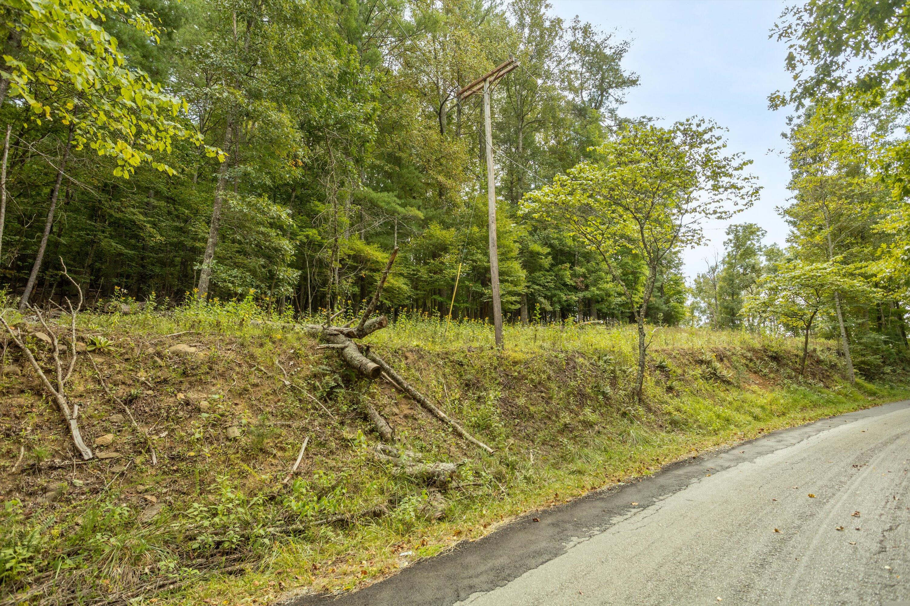 0 Willow Branch Road Boones Mill, VA 24065 - Photo 20 of 25 a view of a yard