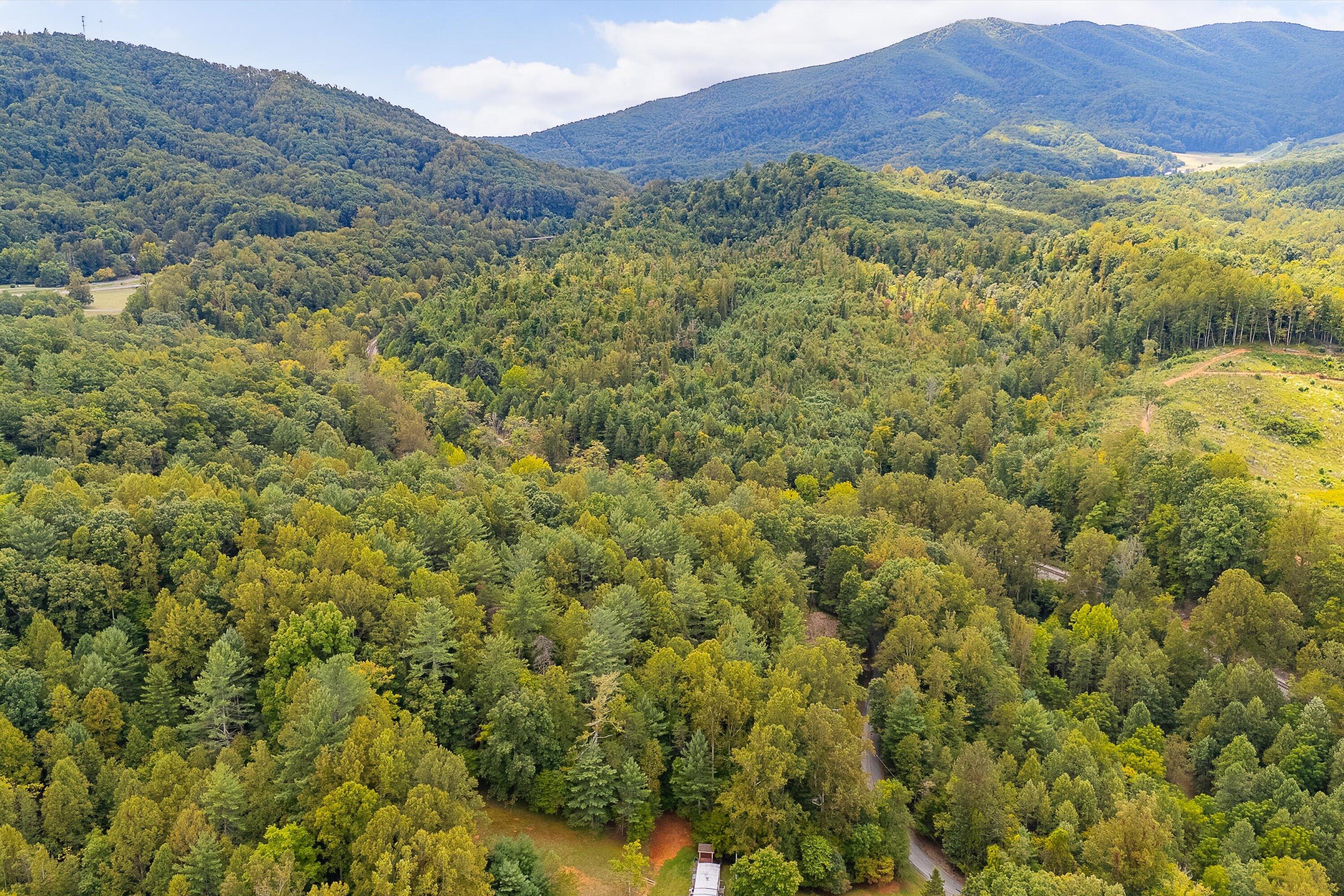 0 Willow Branch Road Boones Mill, VA 24065 - Photo 2 of 25 a view of a lush green hillside and a houses