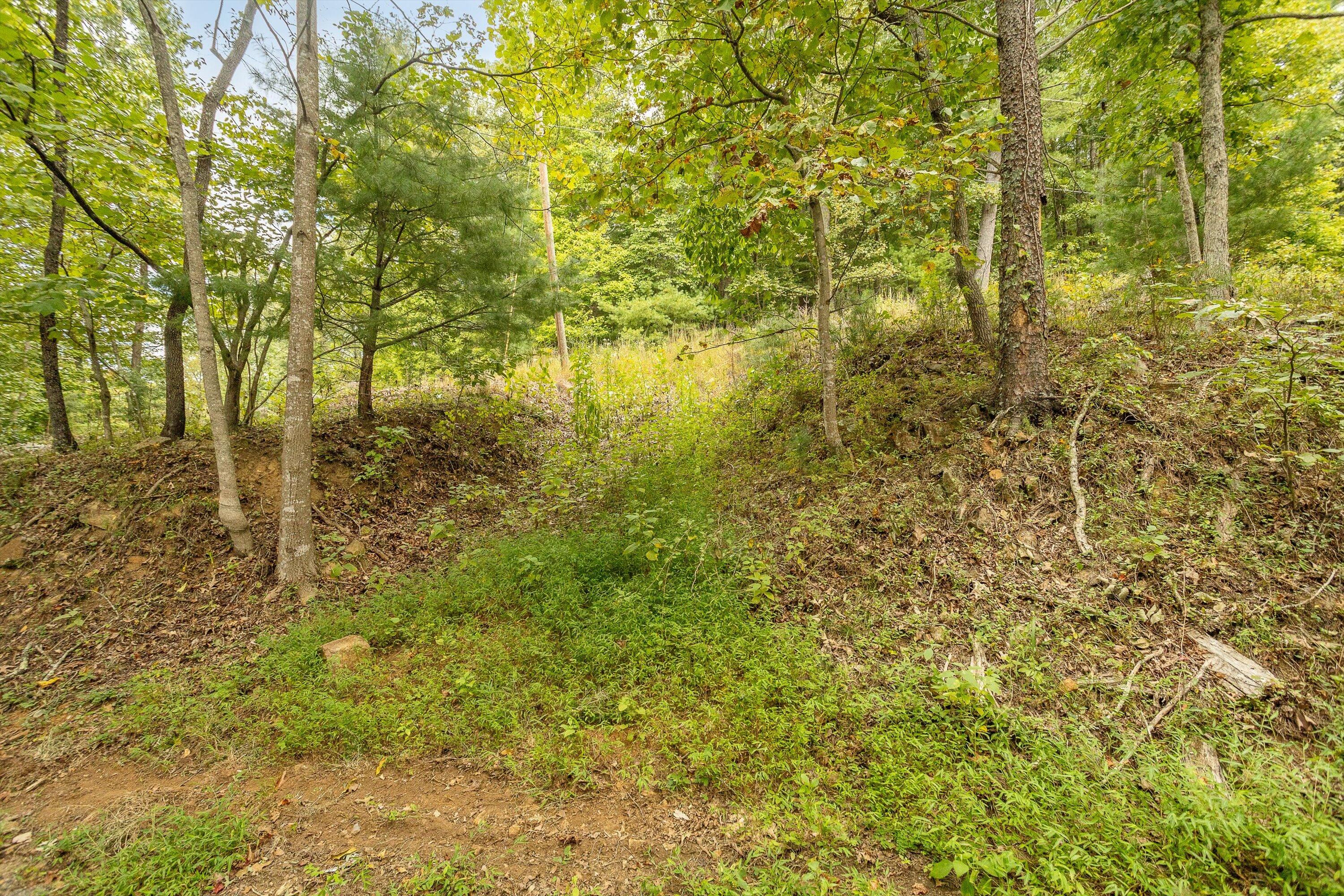0 Willow Branch Road Boones Mill, VA 24065 - Photo 21 of 25 a view of a yard with trees