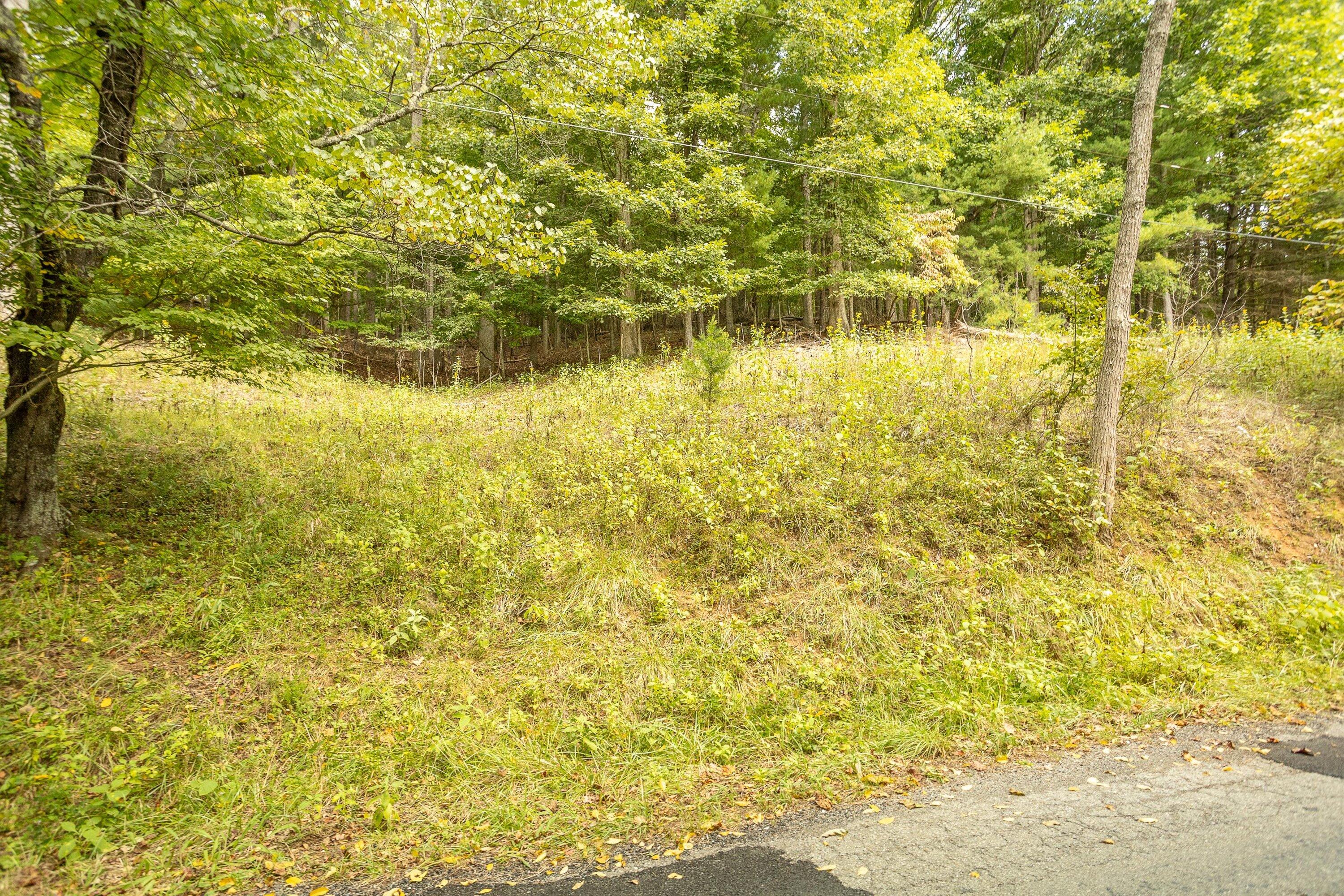 0 Willow Branch Road Boones Mill, VA 24065 - Photo 22 of 25 a view of a lake view
