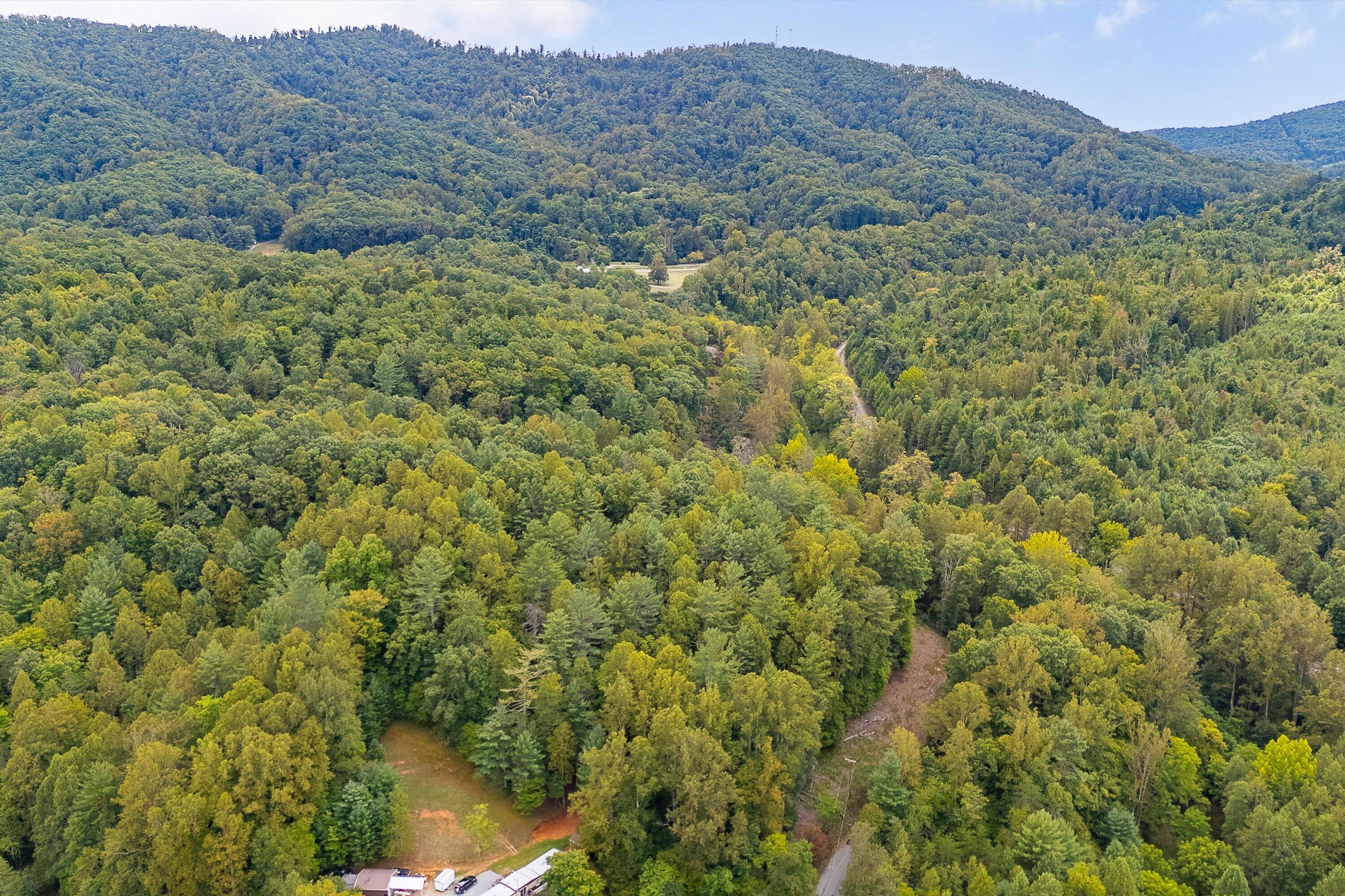 0 Willow Branch Road Boones Mill, VA 24065 - Photo 3 of 25 a view of a lush green hillside and houses
