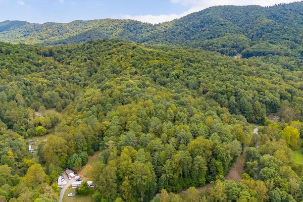 a view of a lush green hillside and a mountain