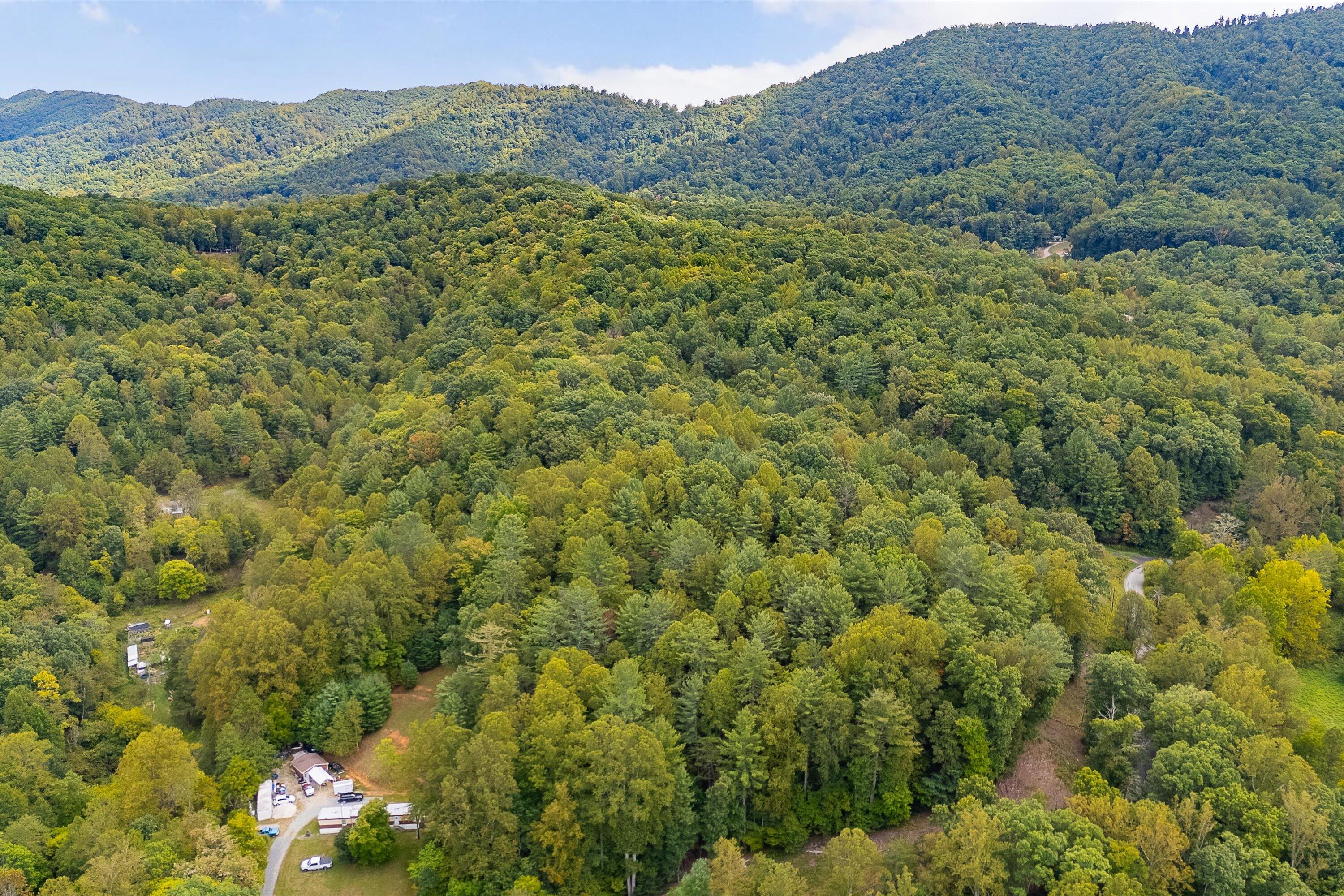 0 Willow Branch Road Boones Mill, VA 24065 - Photo 4 of 25 a view of a lush green hillside and a mountain