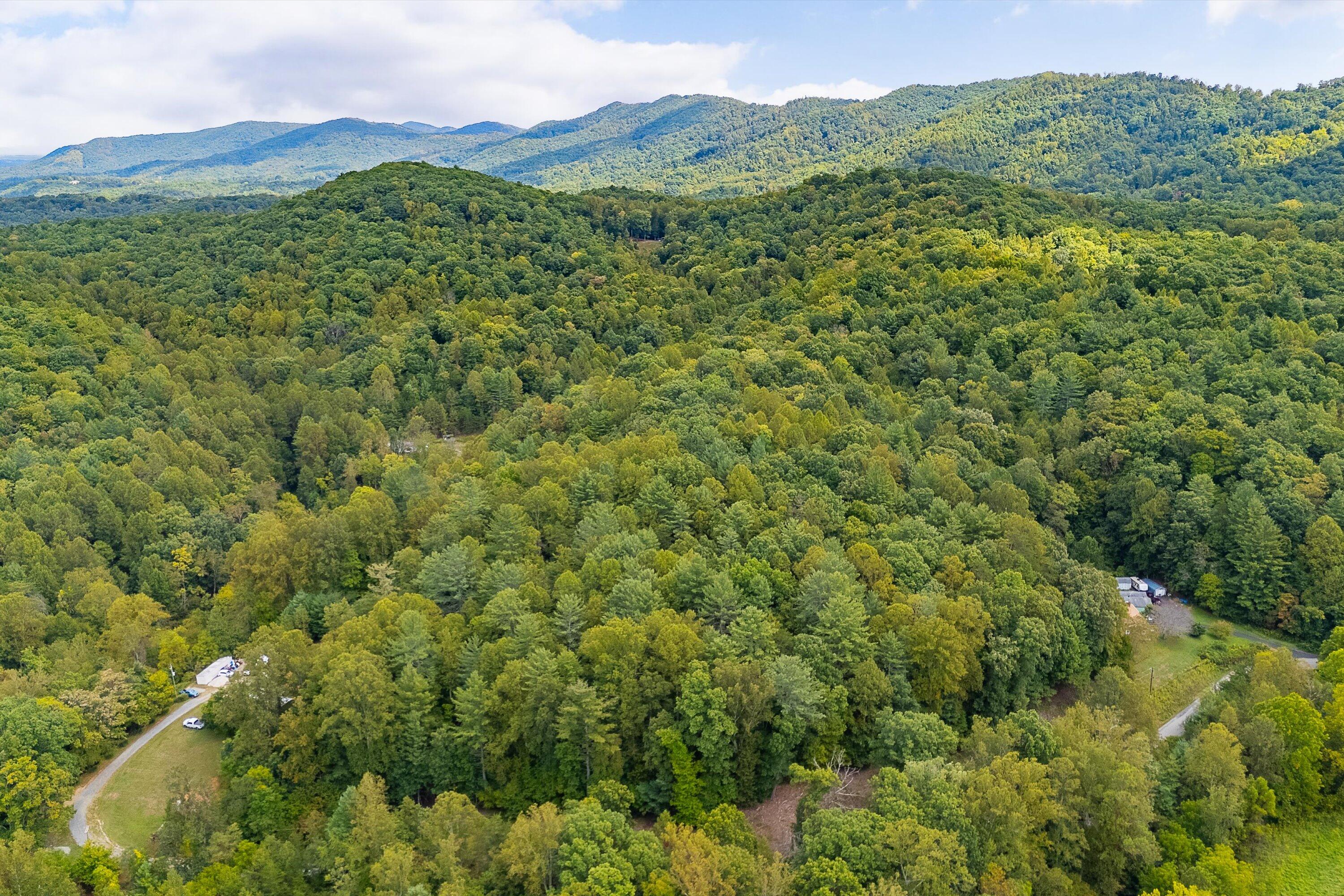 0 Willow Branch Road Boones Mill, VA 24065 - Photo 5 of 25 a view of a lush green hillside and a houses