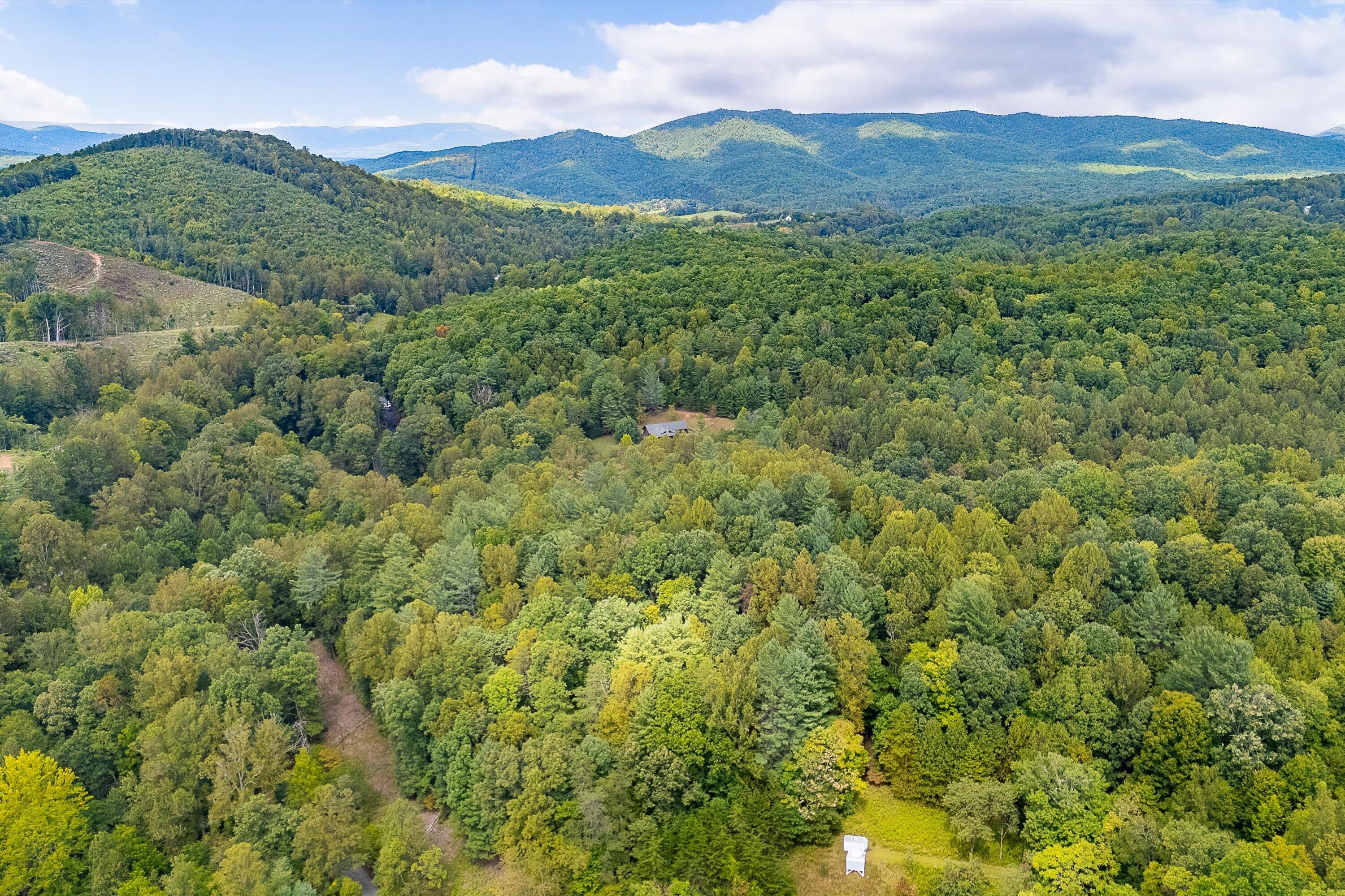 0 Willow Branch Road Boones Mill, VA 24065 - Photo 6 of 25 a view of a lush green hillside and a mountain