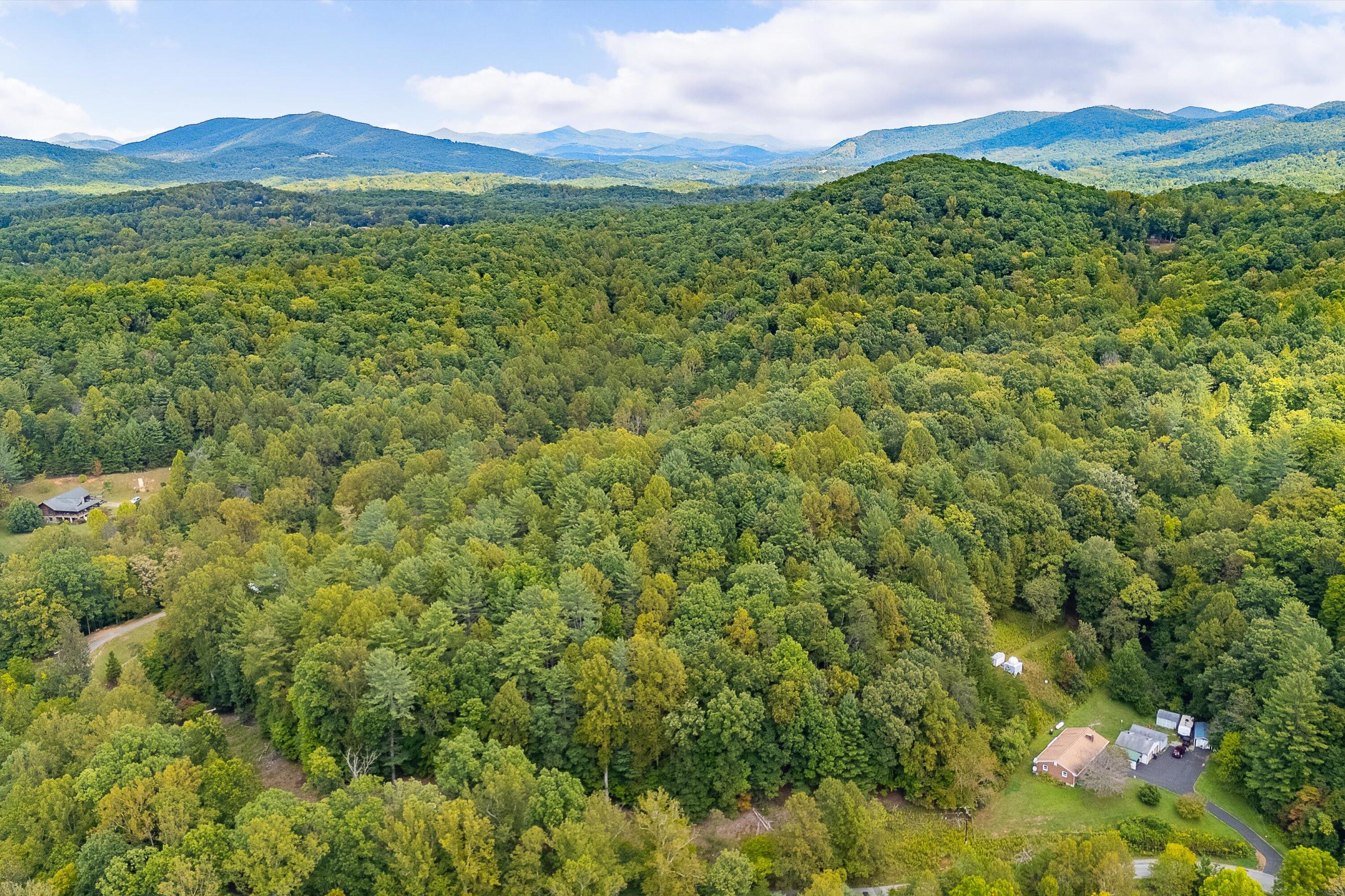 0 Willow Branch Road Boones Mill, VA 24065 - Photo 7 of 25 a view of a lush green hillside and a houses