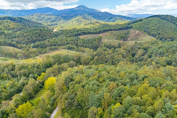 a view of a lake with a mountain
