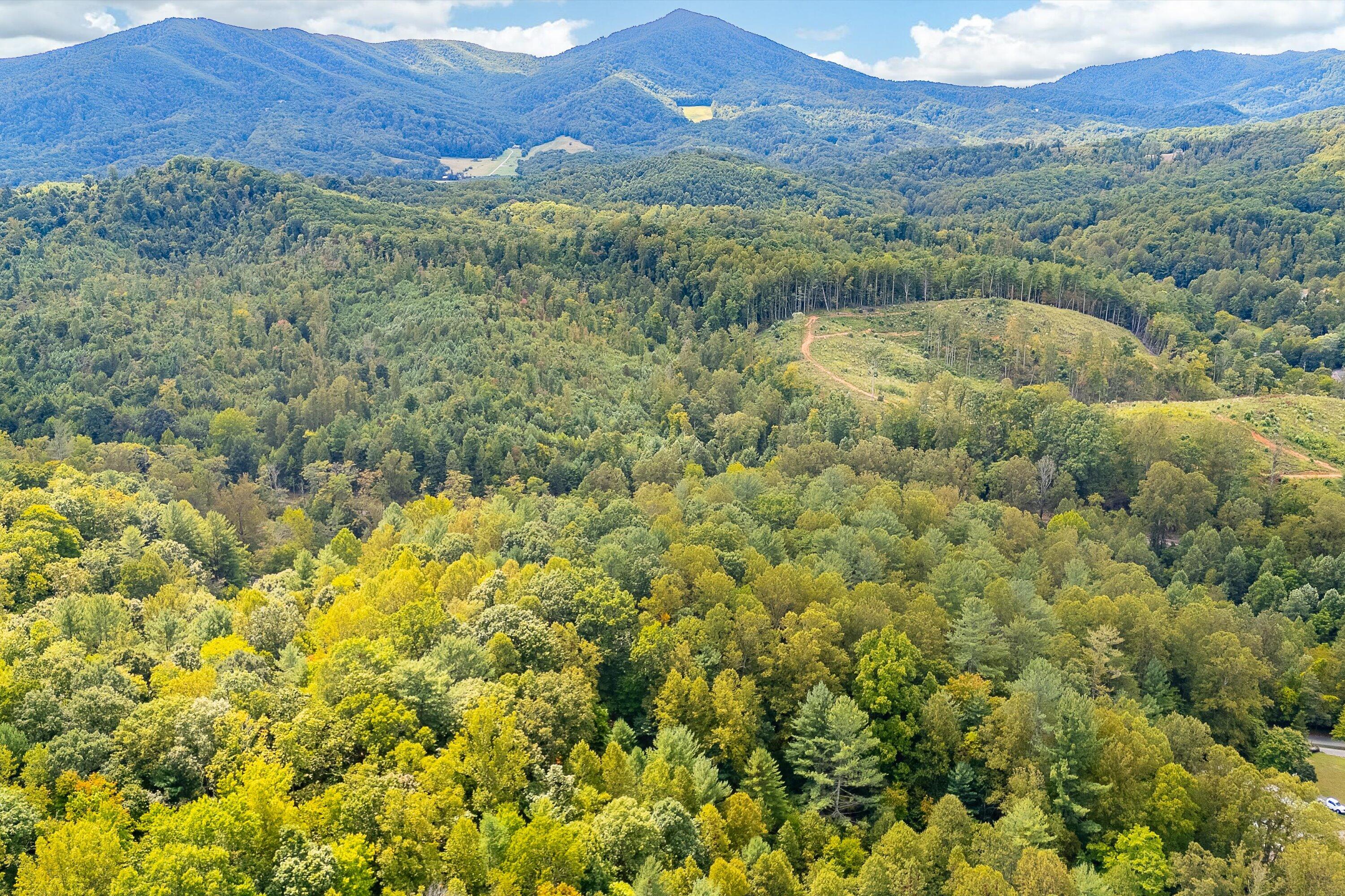 0 Willow Branch Road Boones Mill, VA 24065 - Photo 10 of 25 a view of a lush green hillside and a houses