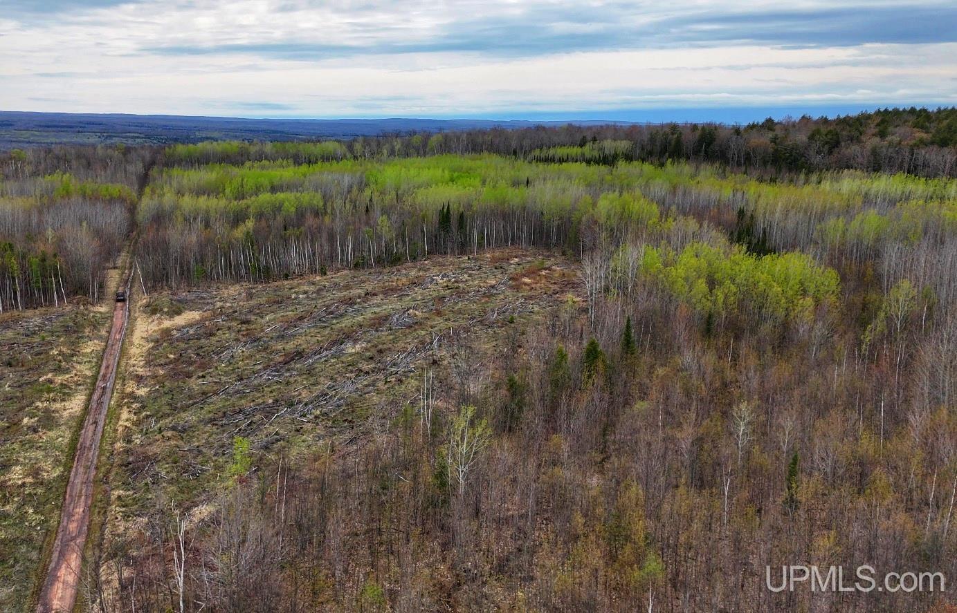 Tbdw Tbdw Off Townline Road Lanse, MI 49946 - Photo 15 of 17