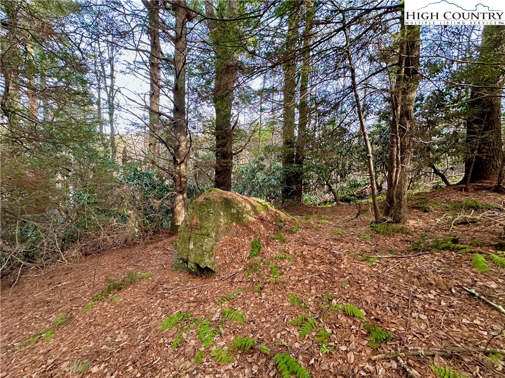 Don Hayes Road Boone, NC 28607 - Photo 12 of 26 Gallery Image 12