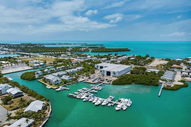 an aerial view of a house with a garden view