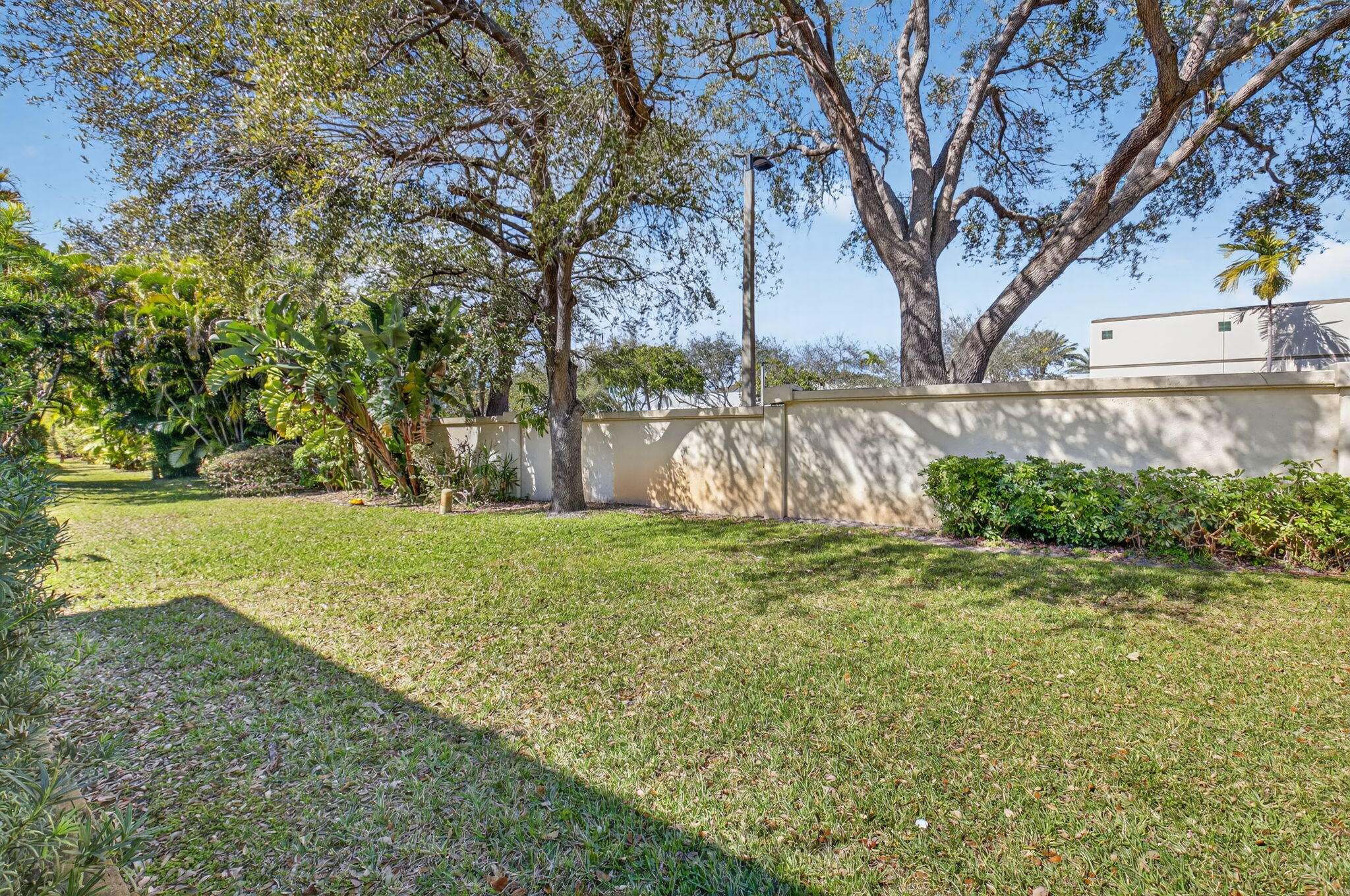 4761 Northwest 2nd Avenue, Unit 301 Boca Raton, FL 33431 - Photo 29 of 56 a view of backyard with tree