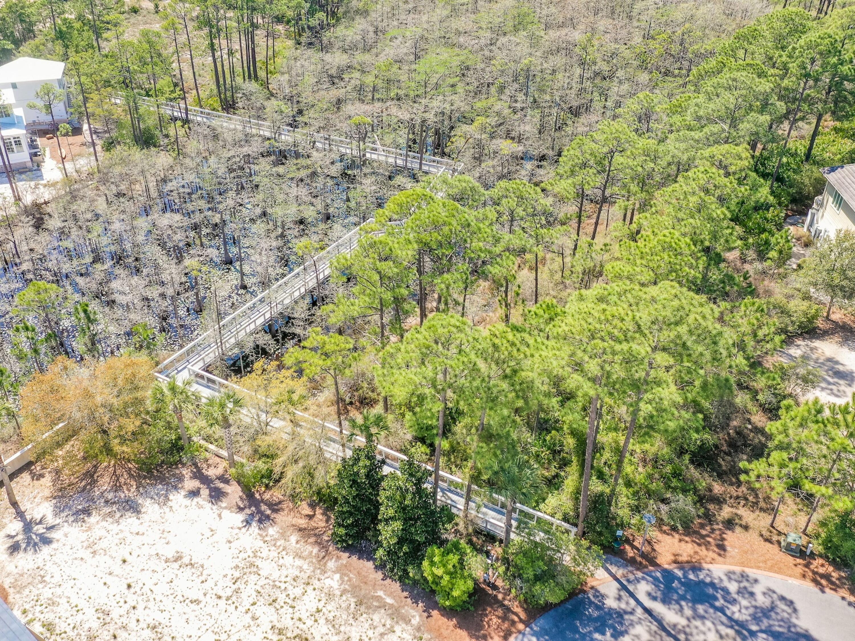 Lot 11 Cypress Passage Santa Rosa Beach, FL 32459 - Photo 49 of 55 Boardwalk through Cypress pond