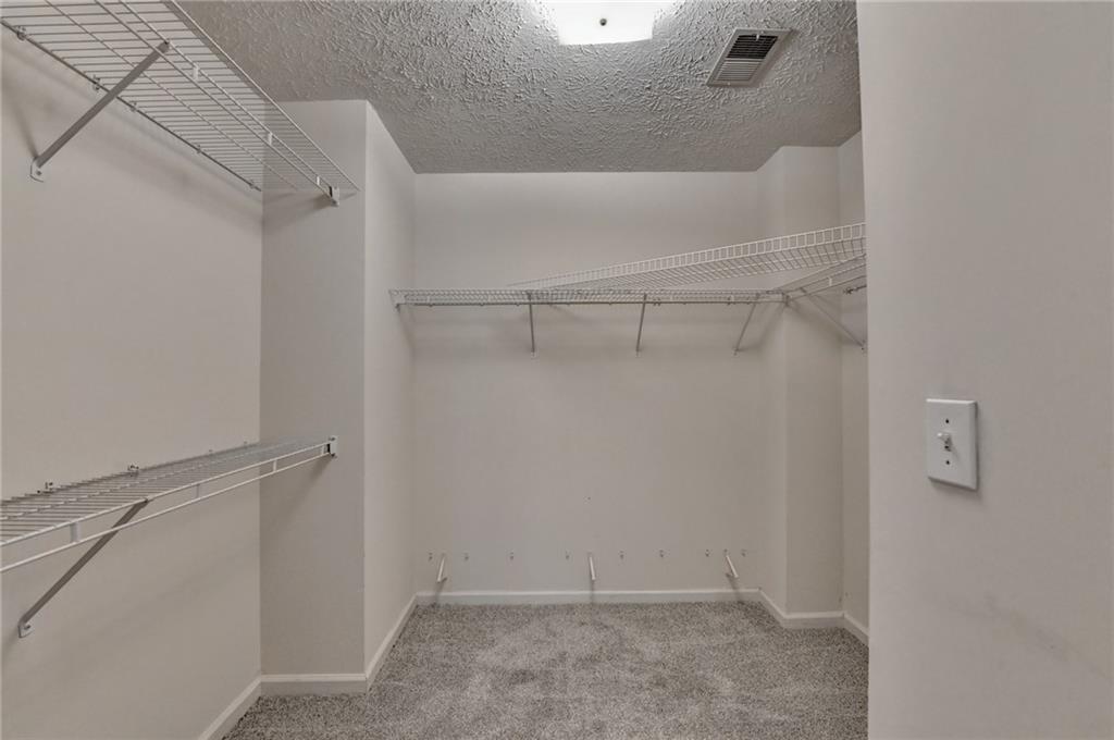 225 Ruby Forest Parkway Suwanee, GA 30024 - Photo 63 of 73