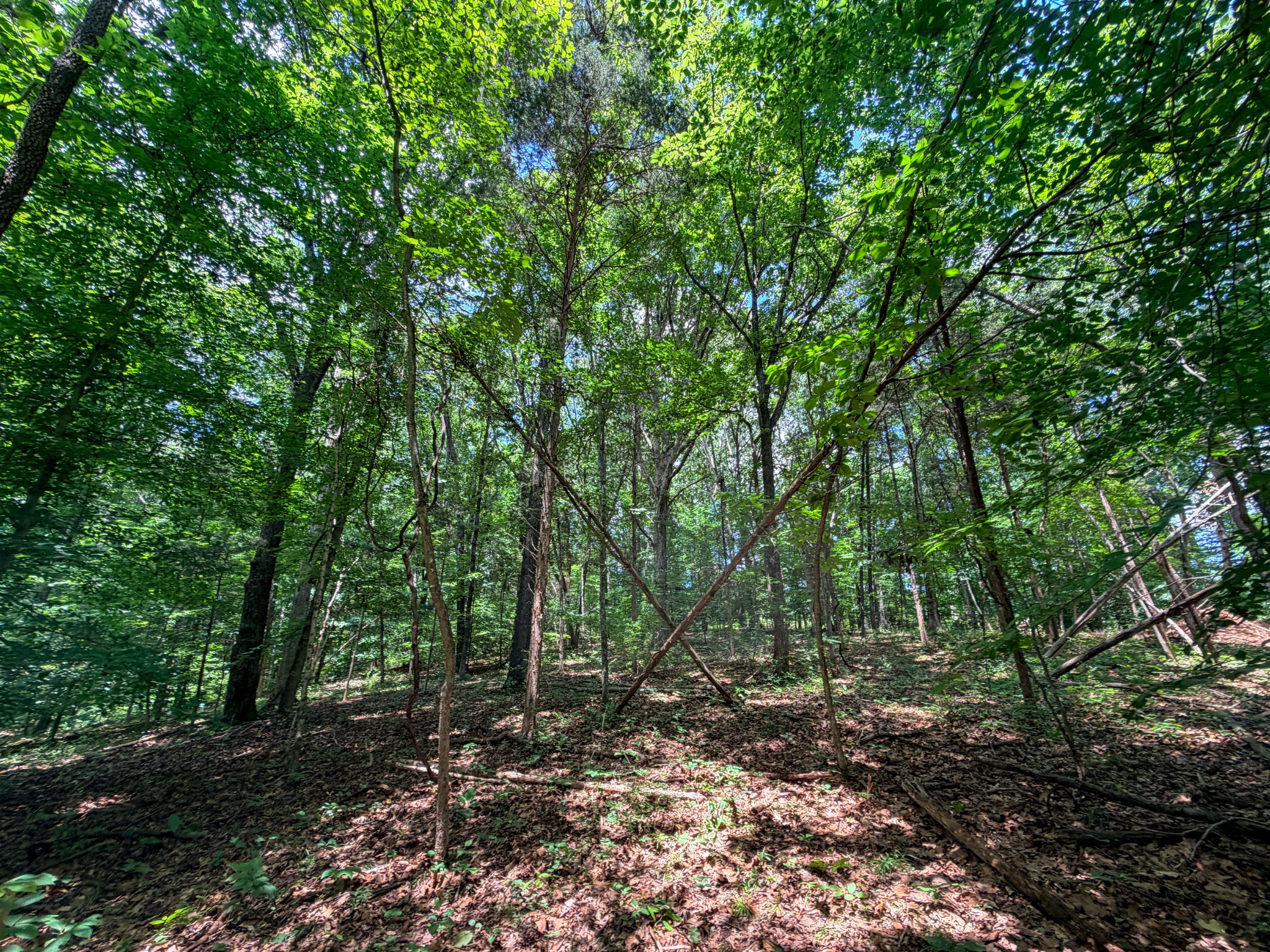 1 Budds Creek Road Palmyra, TN 37142 - Photo 66 of 76