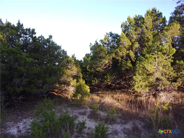 a backyard of a house