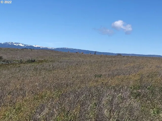 a view of ocean view with beach