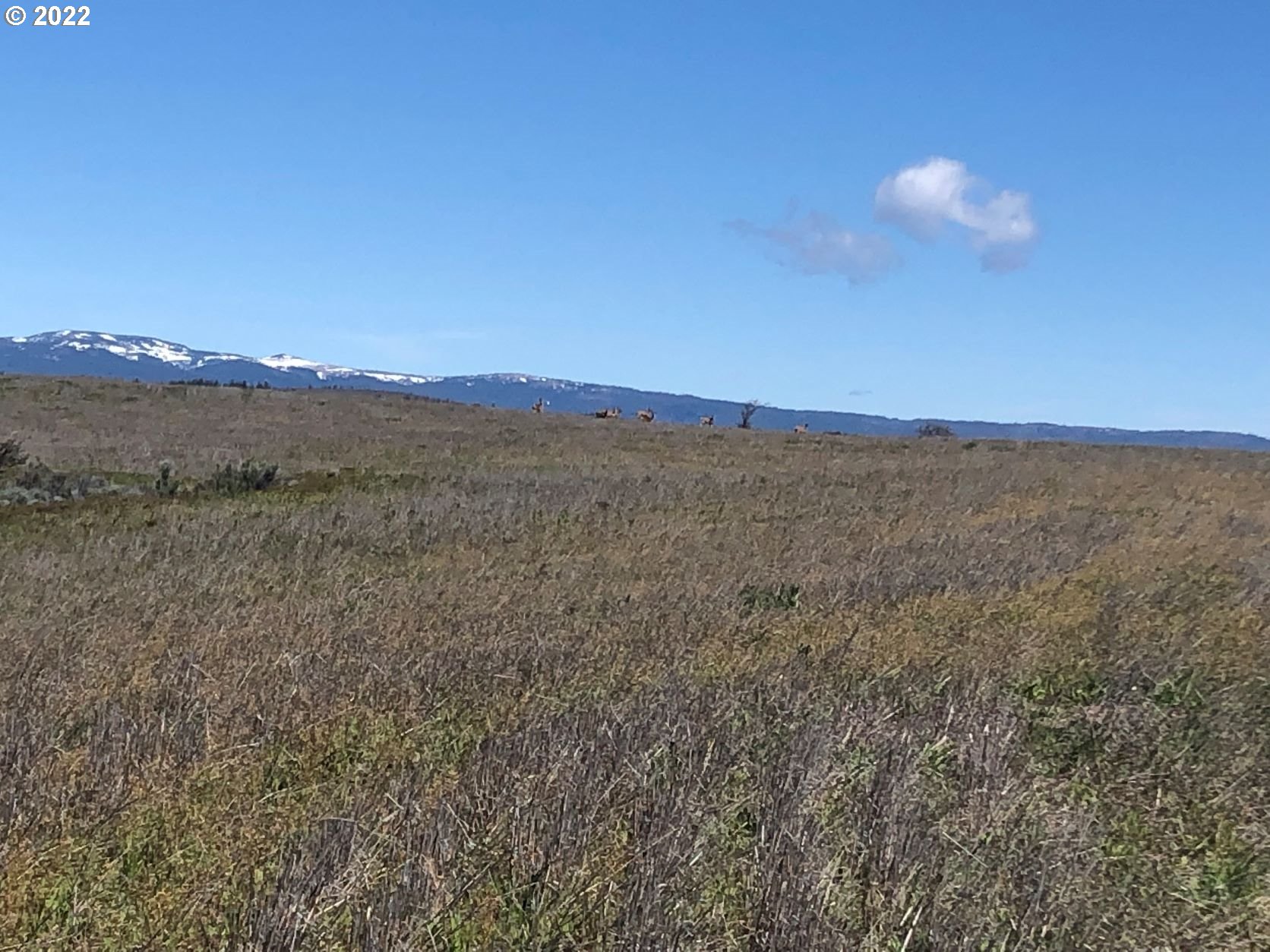 Lightening Lane Goldendale, WA 98620 - Photo 17 of 37