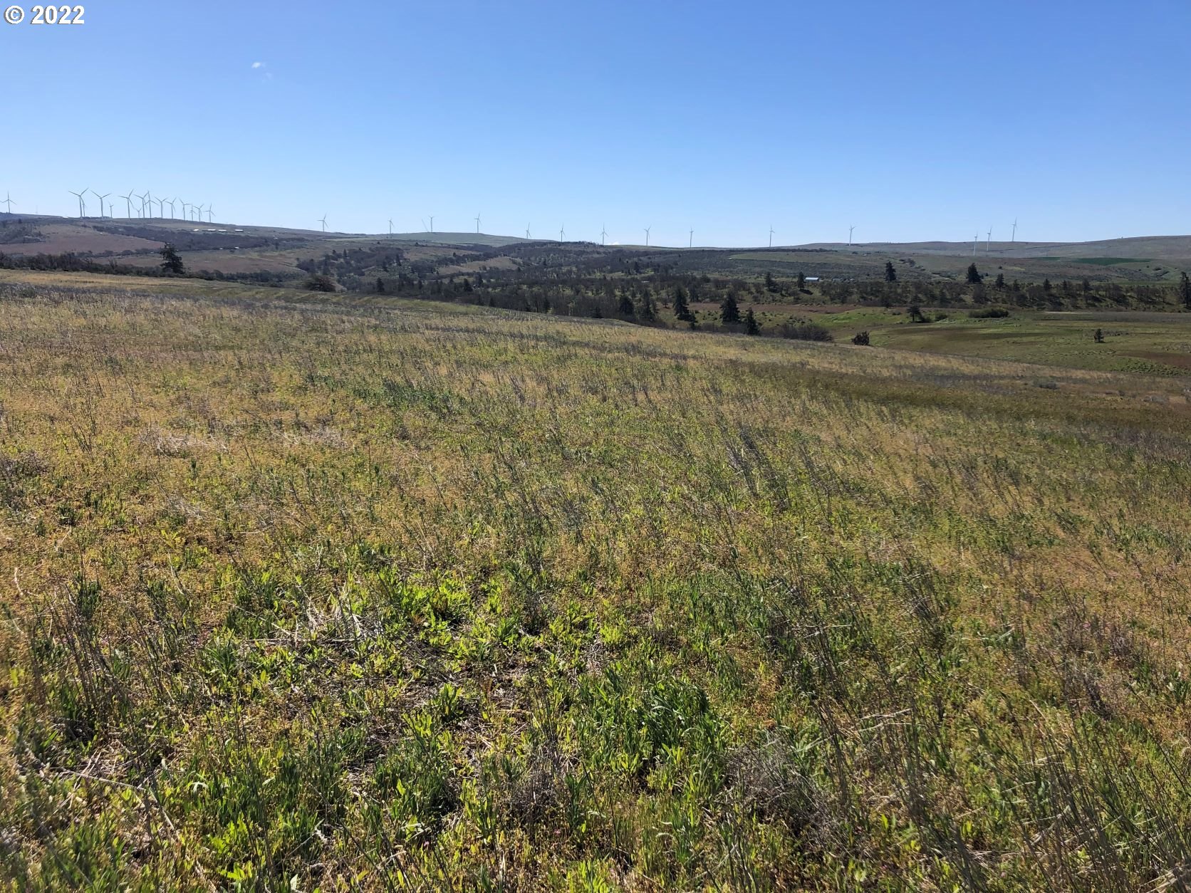 Lightening Lane Goldendale, WA 98620 - Photo 18 of 37 a view of an ocean and mountain