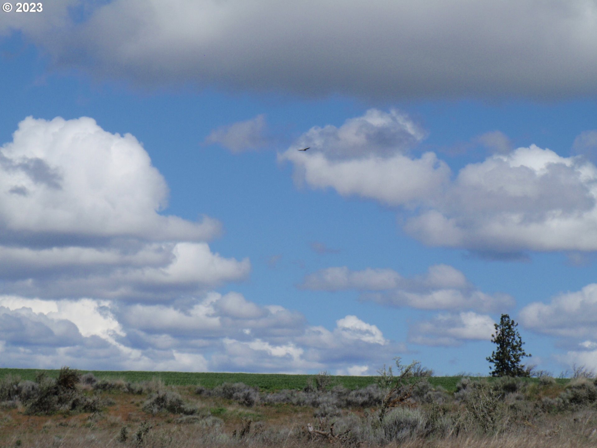 Lightening Lane Goldendale, WA 98620 - Photo 22 of 37 a view of a lake