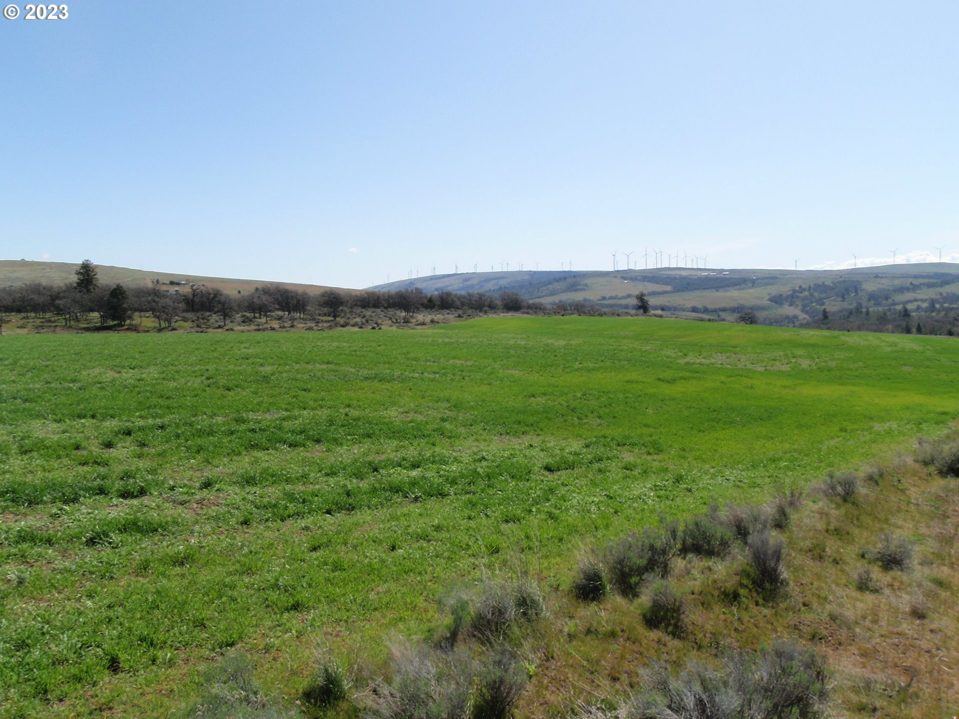 Lightening Lane Goldendale, WA 98620 - Photo 23 of 37 a view of an outdoor space and a yard